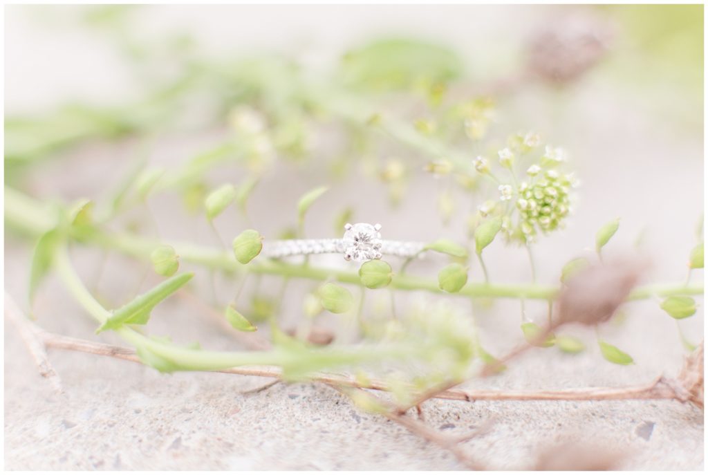 engagement ring, engagement session, Samantha Ludlow Photography