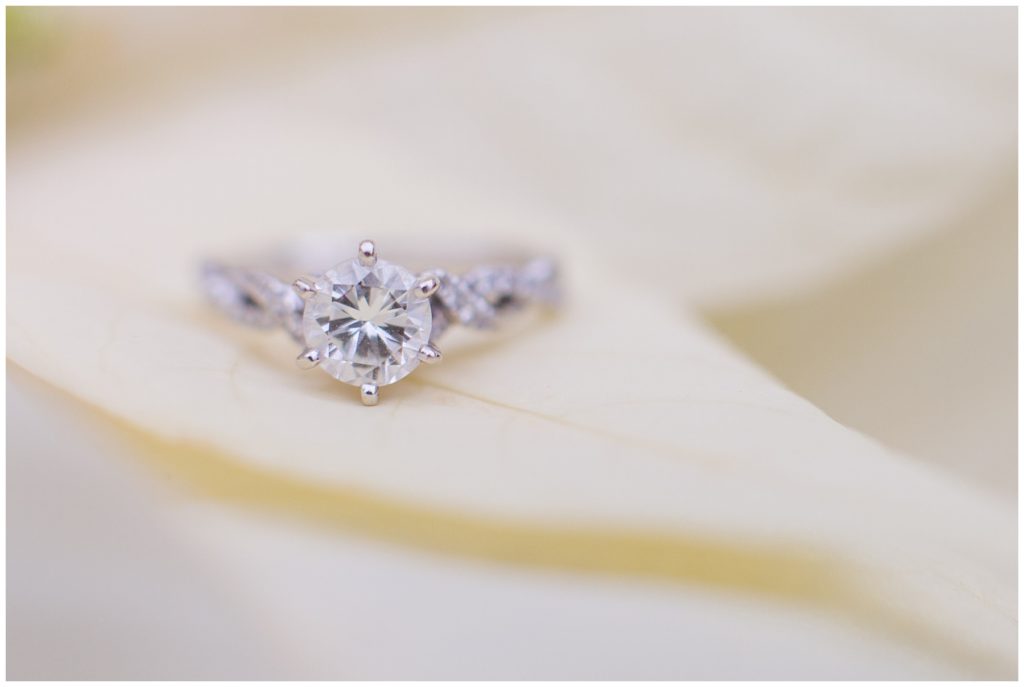 engagement ring, winter engagement session at the Lamberton Conservatory, Samantha Ludlow Photography, Syracuse wedding photographer
