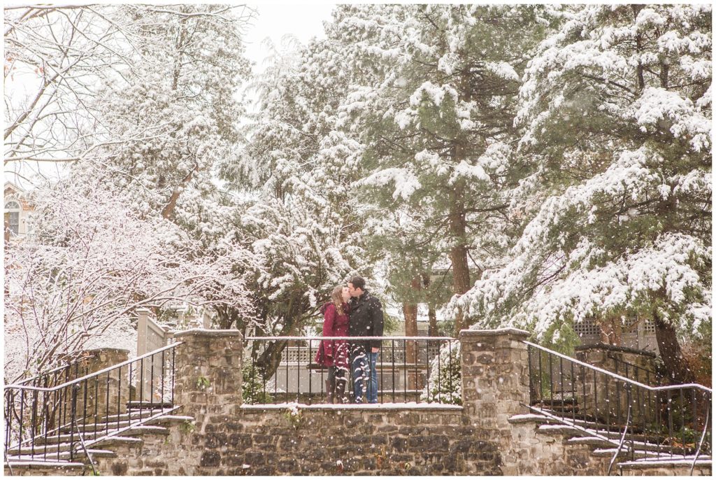 sunken gardens, winter engagement session at the Lamberton Conservatory, Samantha Ludlow Photography, Syracuse wedding photographer